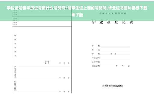 学位证号和学历证号都什么号码啊?是学生证上面的号码吗,毕业证书图片模板下载电子版