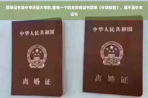 四级证书是中专还是大专的,我有一个职业资格证书四级（中级技能），算不算中专证书