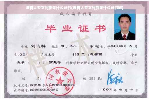 没有大专文凭能考什么证书(没有大专文凭能考什么证书呢)