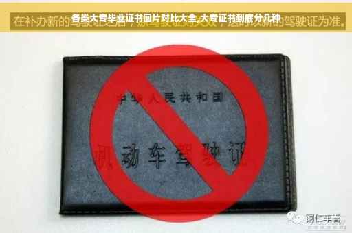 各类大专毕业证书图片对比大全,大专证书到底分几种