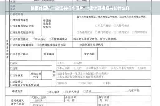 陕西计算机一级证书样本图片,一级计算机证书长什么样
