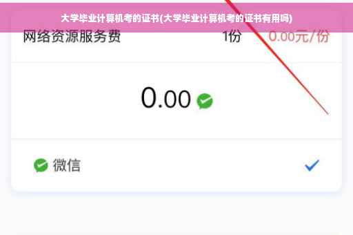 大学毕业计算机考的证书(大学毕业计算机考的证书有用吗)