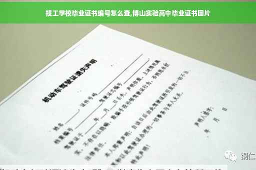 技工学校毕业证书编号怎么查,博山实验高中毕业证书图片