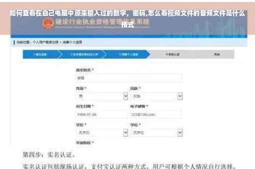 如何查看在自己电脑中原来输入过的数字，密码,怎么看视频文件的音频文件是什么格式