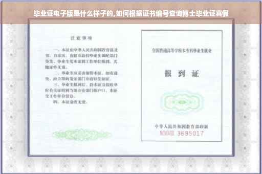 毕业证电子版是什么样子的,如何根据证书编号查询博士毕业证真假
