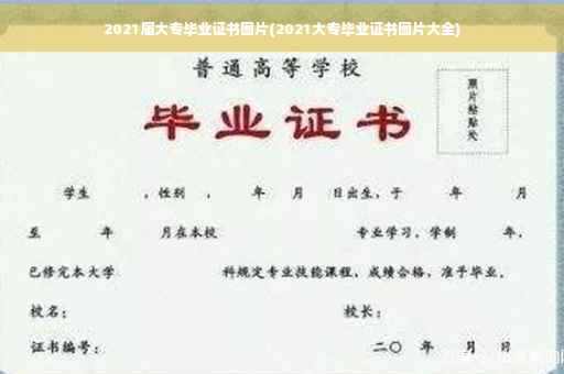 2021届大专毕业证书图片(2021大专毕业证书图片大全)