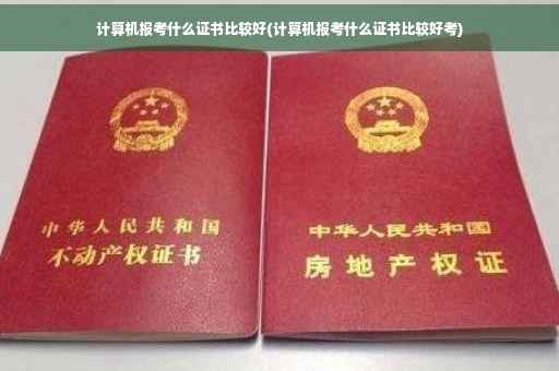 计算机报考什么证书比较好(计算机报考什么证书比较好考)