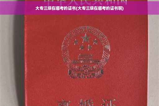 大专三级在哪考的证书(大专三级在哪考的证书啊)