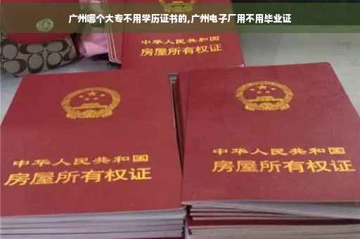 广州哪个大专不用学历证书的,广州电子厂用不用毕业证