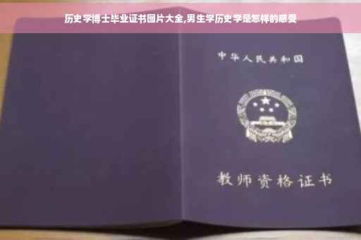 历史学博士毕业证书图片大全,男生学历史学是怎样的感受