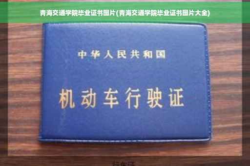 青海交通学院毕业证书图片(青海交通学院毕业证书图片大全)