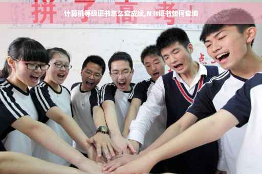 计算机等级证书怎么查成绩,N it证书如何查询