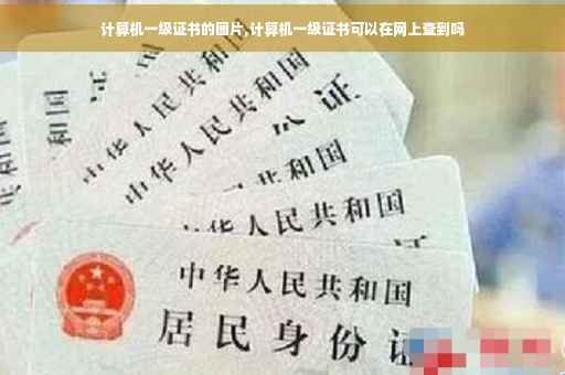 计算机一级证书的图片,计算机一级证书可以在网上查到吗