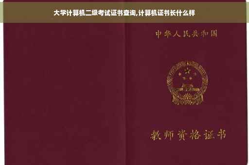 大学计算机二级考试证书查询,计算机证书长什么样