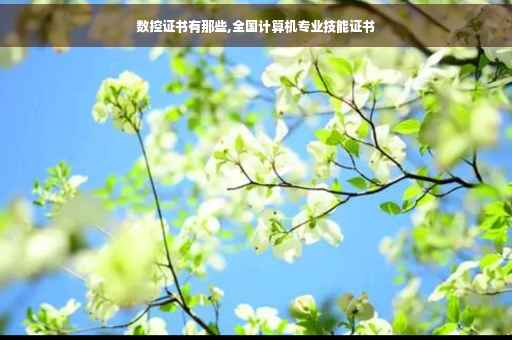 数控证书有那些,全国计算机专业技能证书