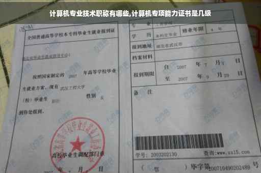 计算机专业技术职称有哪些,计算机专项能力证书是几级