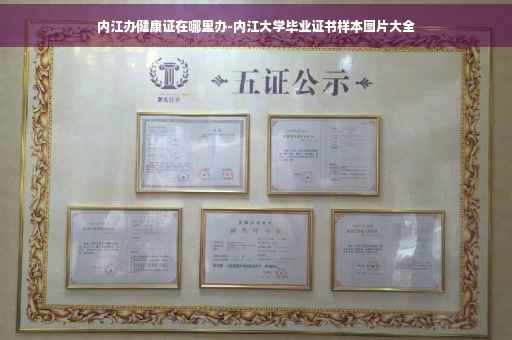 内江办健康证在哪里办-内江大学毕业证书样本图片大全