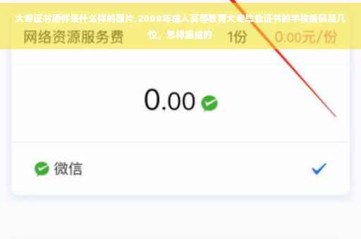 大专证书原件是什么样的图片,2000年成人高等教育大专毕业证书的学校编码是几位，怎样组成的