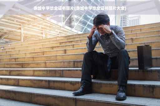 赤城中学毕业证书图片(赤城中学毕业证书图片大全)