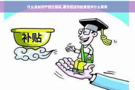 什么是知识产权计算机,著作权证书软著登字什么意思
