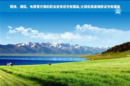 网络，通信，电路等方面的职业资格证书有哪些,计算机组装维修证书有哪些