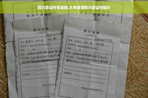 四六级证件号是啥,大专英语四六级证书图片