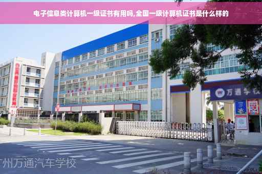 电子信息类计算机一级证书有用吗,全国一级计算机证书是什么样的