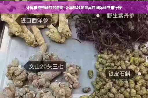 计算机资格证的含金量-计算机含金量高的国际证书排行榜