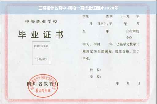三高指什么高中-桐柏一高毕业证图片2020年
