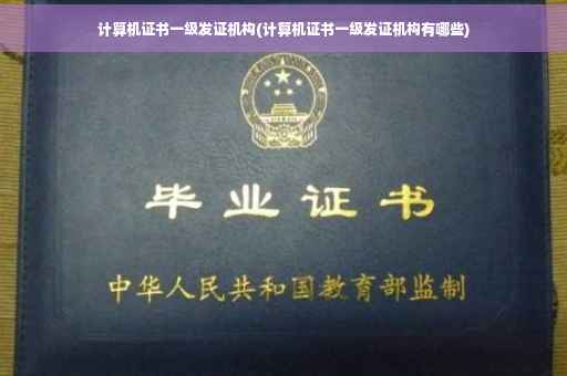 计算机证书一级发证机构(计算机证书一级发证机构有哪些)