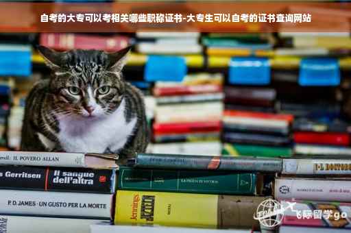 自考的大专可以考相关哪些职称证书-大专生可以自考的证书查询网站