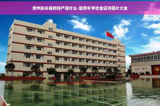 贵州关岭县的特产是什么-坡贡中学毕业证书图片大全