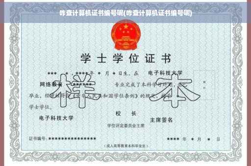 咋查计算机证书编号呢(咋查计算机证书编号呢)