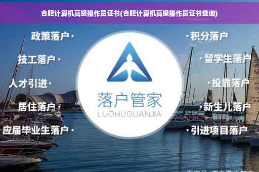 合肥计算机高级操作员证书(合肥计算机高级操作员证书查询)