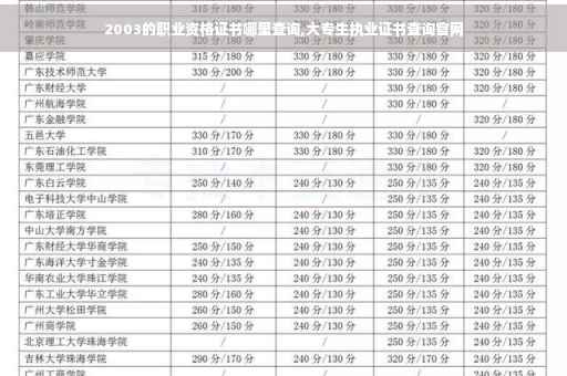 2003的职业资格证书哪里查询,大专生执业证书查询官网