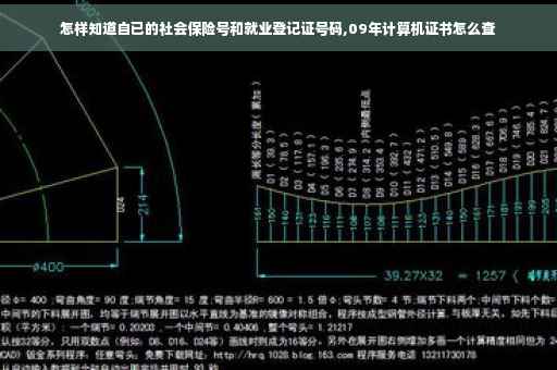 怎样知道自已的社会保险号和就业登记证号码,09年计算机证书怎么查