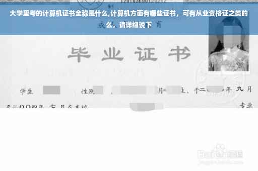 大学里考的计算机证书全称是什么,计算机方面有哪些证书，可有从业资格证之类的么，请详细说下