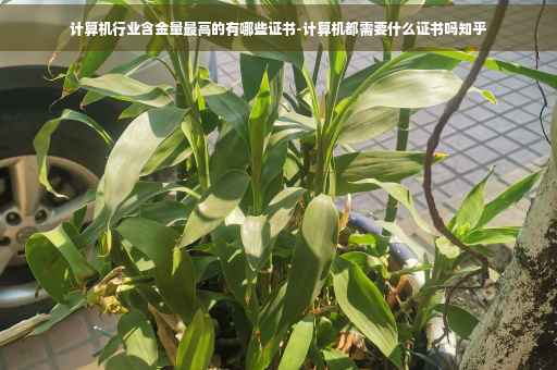 计算机行业含金量最高的有哪些证书-计算机都需要什么证书吗知乎