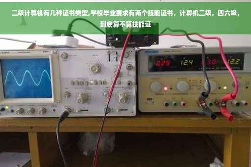 二级计算机有几种证书类型,学校毕业要求有两个技能证书，计算机二级，四六级，到底算不算技能证