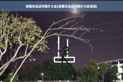 初期毕业证书图片大全(初期毕业证书图片大全高清)