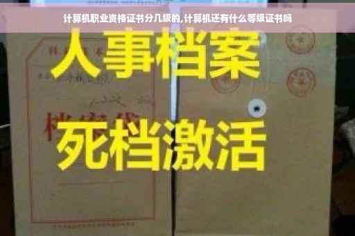 计算机职业资格证书分几级的,计算机还有什么等级证书吗