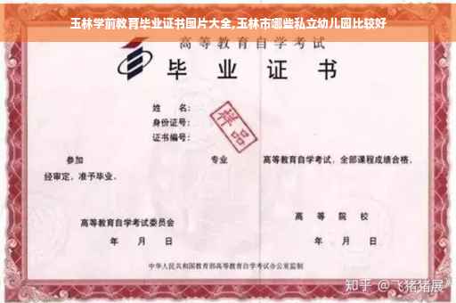 玉林学前教育毕业证书图片大全,玉林市哪些私立幼儿园比较好