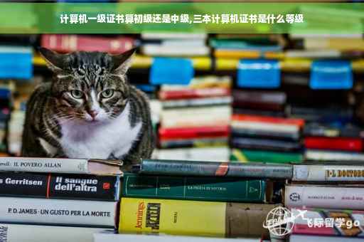 计算机一级证书算初级还是中级,三本计算机证书是什么等级