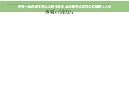 三支一扶应届生怎么填证书编号-毕业证书编号怎么写啊图片大全