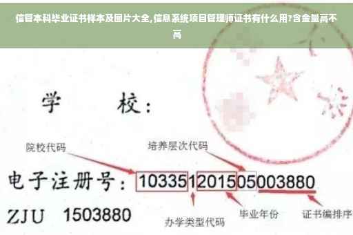信管本科毕业证书样本及图片大全,信息系统项目管理师证书有什么用?含金量高不高