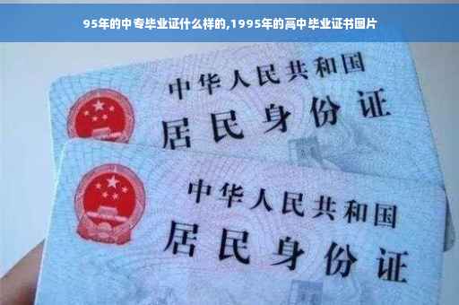 95年的中专毕业证什么样的,1995年的高中毕业证书图片