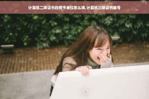 计算机二级证书的授予单位怎么填,计算机三级证书编号