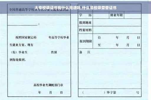 大专校级证书有什么用途吗,什么是校级荣誉证书