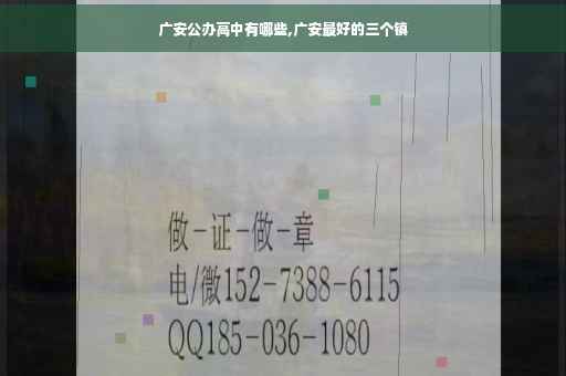 广安公办高中有哪些,广安最好的三个镇