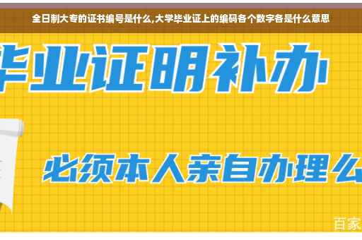 全日制大专的证书编号是什么,大学毕业证上的编码各个数字各是什么意思